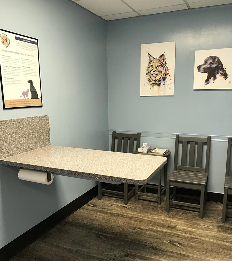 Dog & Cat Veterinarians